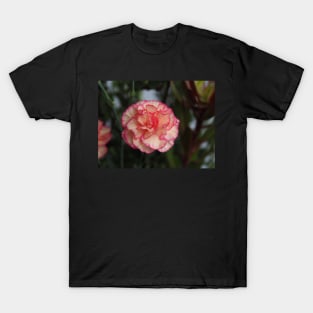 Flower Close Up T-Shirt